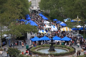 Travel-Trip-Brooklyn Book Festival